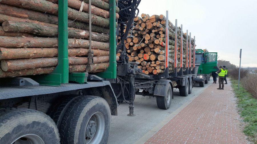 Kontrola transportu drewna
