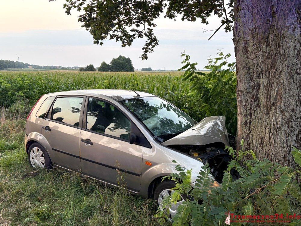 źródło: Trzemeszno24.info