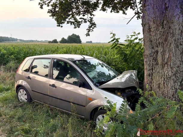 źródło: Trzemeszno24.info
