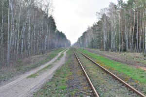 Las między Świątnikami a Mieleszynem, linia w kierunku Nakła. W miejscu planowanego toru prowadzi dziś leśna droga. Zdjęcie 2021 rok.