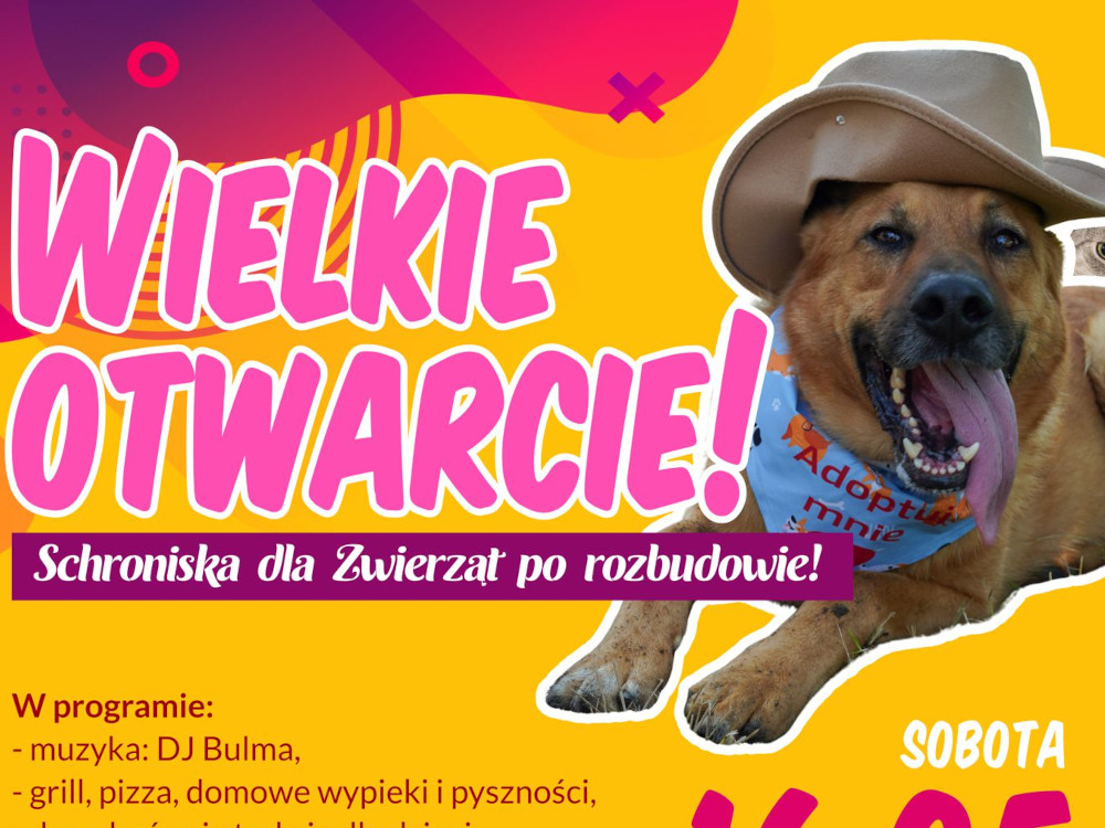 Schronisko dla Zwierząt po rozbudowie zaprasza na rodzinny piknik